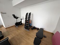 The Lilium (D19), Condominium #520311411